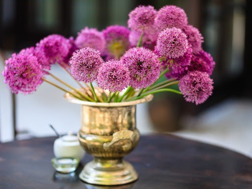 Decorative allium onion: types and varieties with photos, names and descriptions