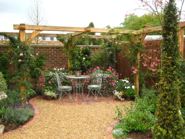 Decorative curly honeysuckle: planting and care, photos, reviews