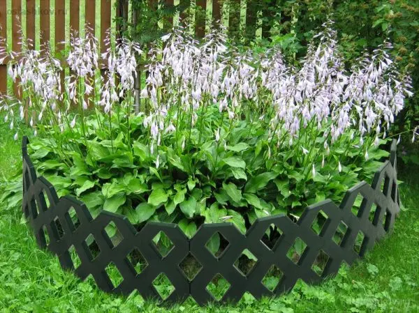 Decorative fences for plastic flower beds: recommendations for creating