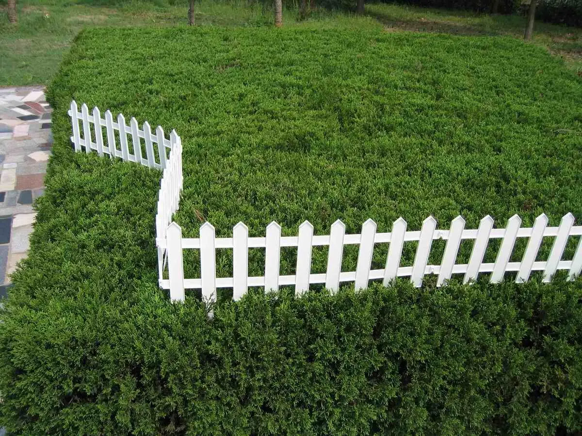 Decorative fences for plastic flower beds: recommendations for creating