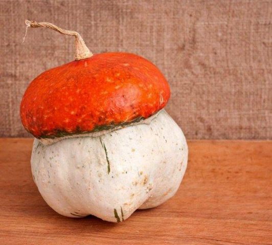 Decorative pumpkin Fungus (Little Red Riding Hood)