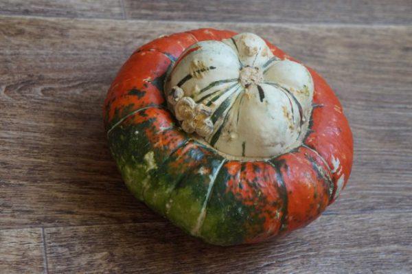 Decorative pumpkin: photos and names