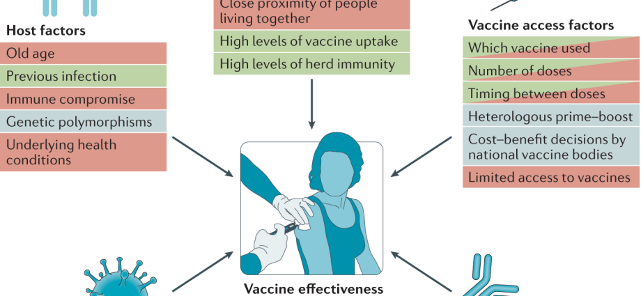 Delaying the second dose of the COVID-19 vaccine increases its effectiveness in seniors