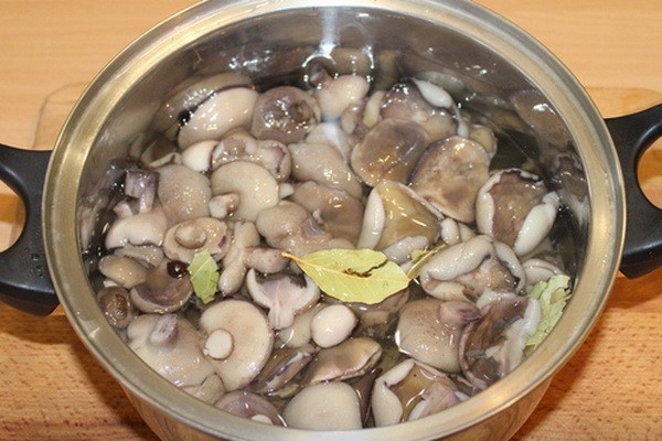 Delicious boletus for the winter: recipes for mushroom blanks