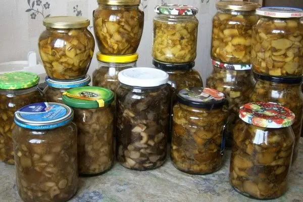 Delicious boletus for the winter: recipes for mushroom blanks