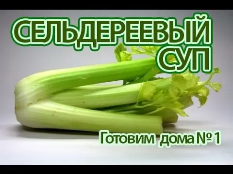 Delicious celery soup for weight loss