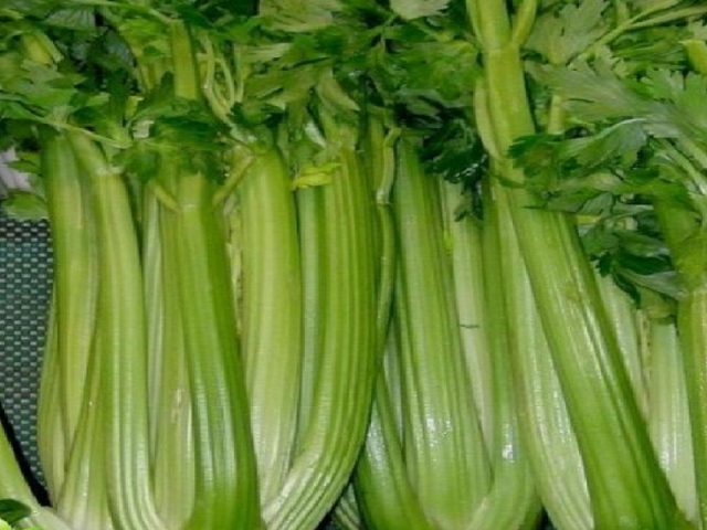 Delicious celery soup for weight loss