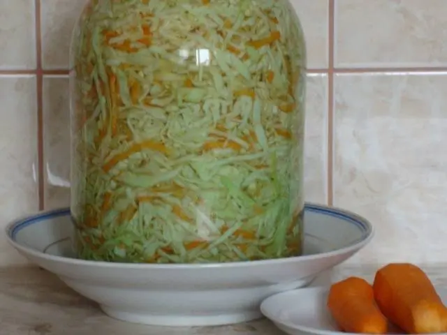 Delicious homemade sauerkraut recipe