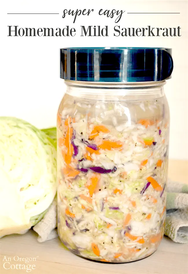 Delicious homemade sauerkraut recipe