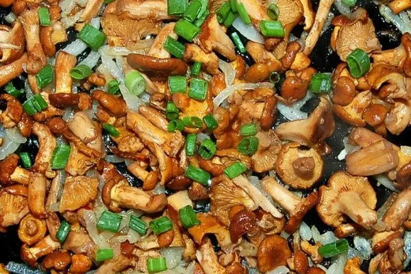 Delicious mushroom dishes with meat or chicken