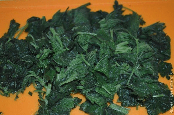 Delicious nettle recipes