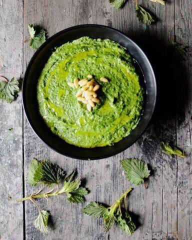 Delicious nettle recipes