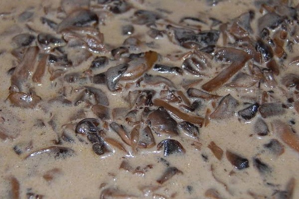 Delicious oyster mushroom sauces