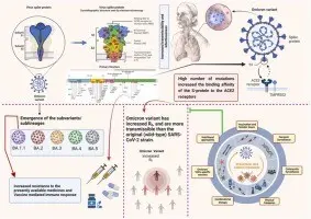 Delmicron &#8211; the number of infections with the combination of Delta and Omicron is increasing