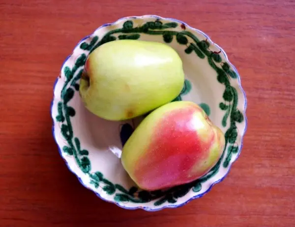 Description and origin of the Sinap kandil apple variety