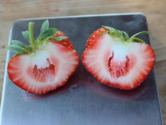 Description, characteristics and photos of strawberries Sonsation (Sensation)