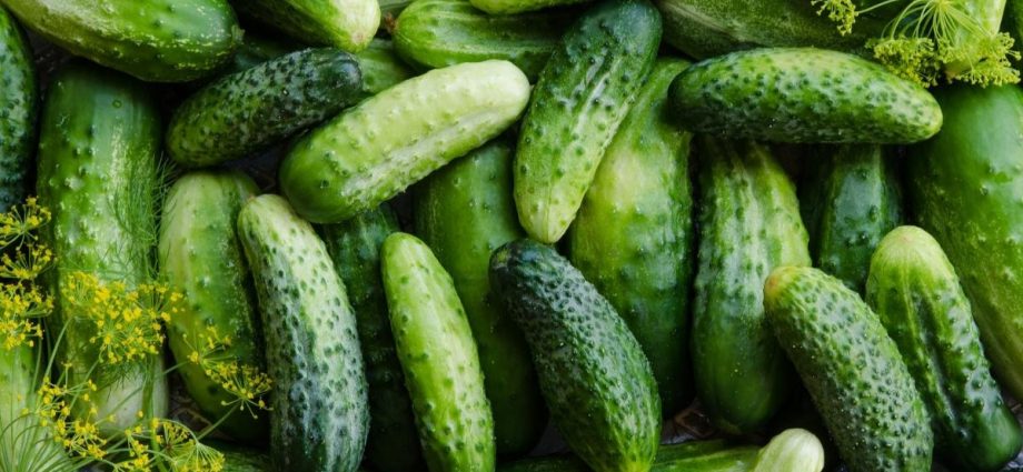 Description of cucumbers All in a bunch