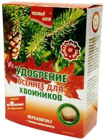 Description of Eastern spruce: Aureospicata, Aurea, Classic, Golden Start