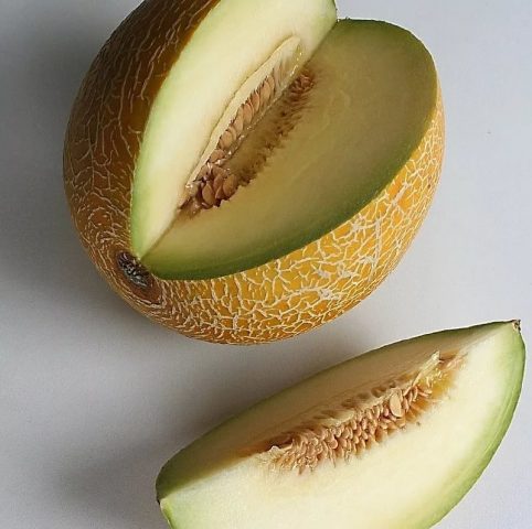 Description of melon Slavia