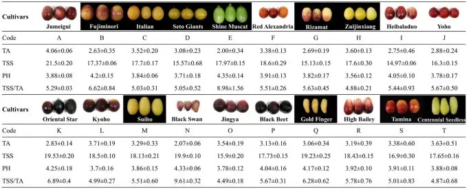 Description of the grape variety Sensation and its benefits