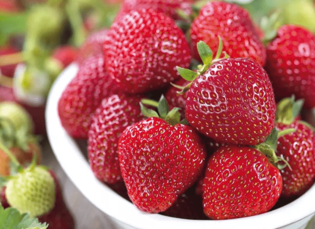 Description of the variety of remontant strawberries Mara des Bois (Mara de Bois)