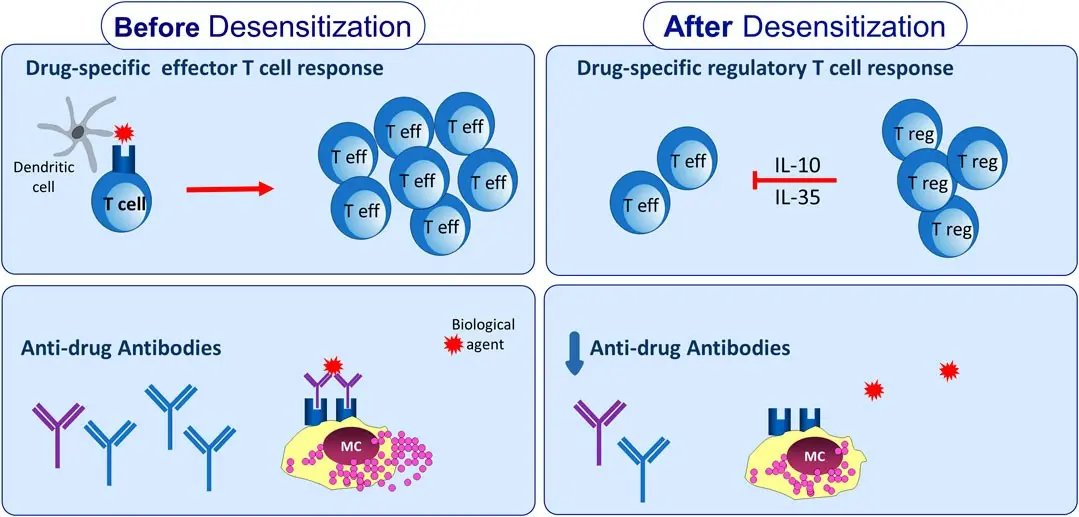 Desensitization is an effective method of treating allergies