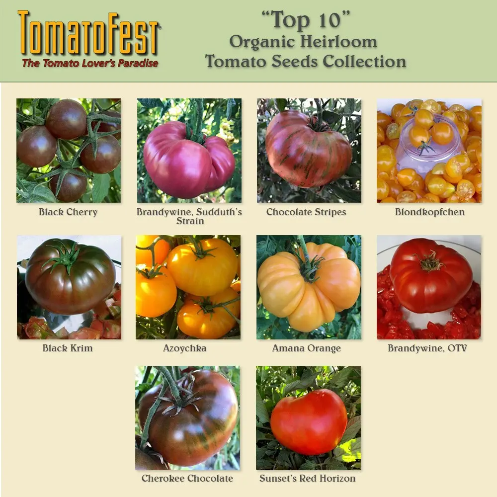 Determinate tomatoes &#8211; the best varieties