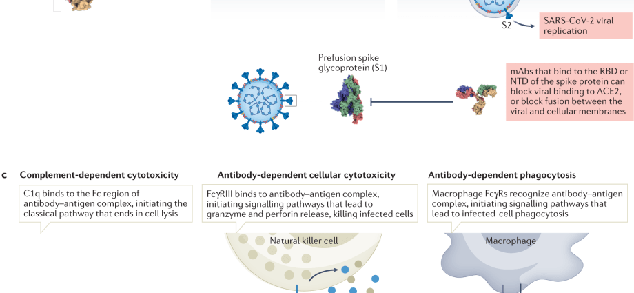 Determination of the level of antibodies against pathogens threatening pregnancy