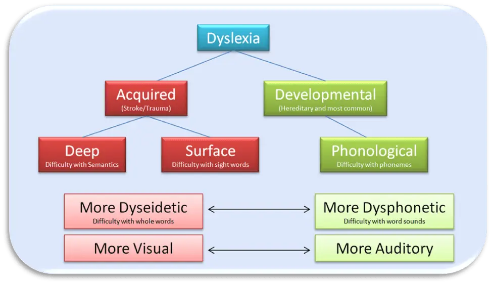 Developmental dyslexia &#8211; description, types of dyslexia, management