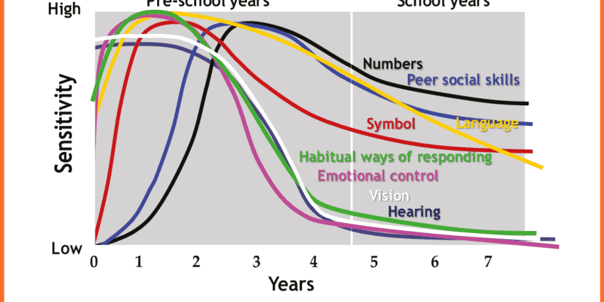 Developmental jumps &#8211; symptoms. How many development leaps are there?