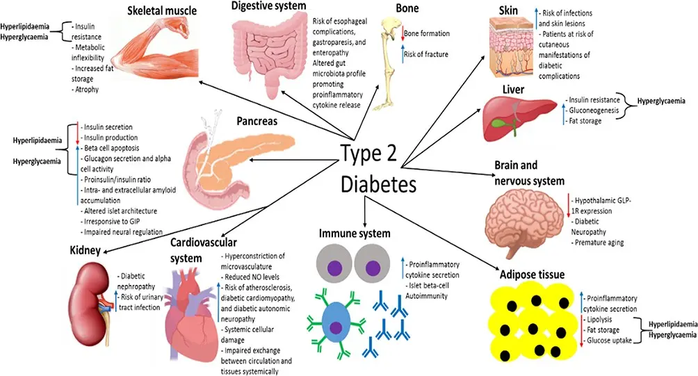 Diabetes and potency problems