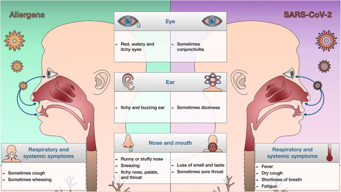 Diagnosing allergies in the COVID-19 era