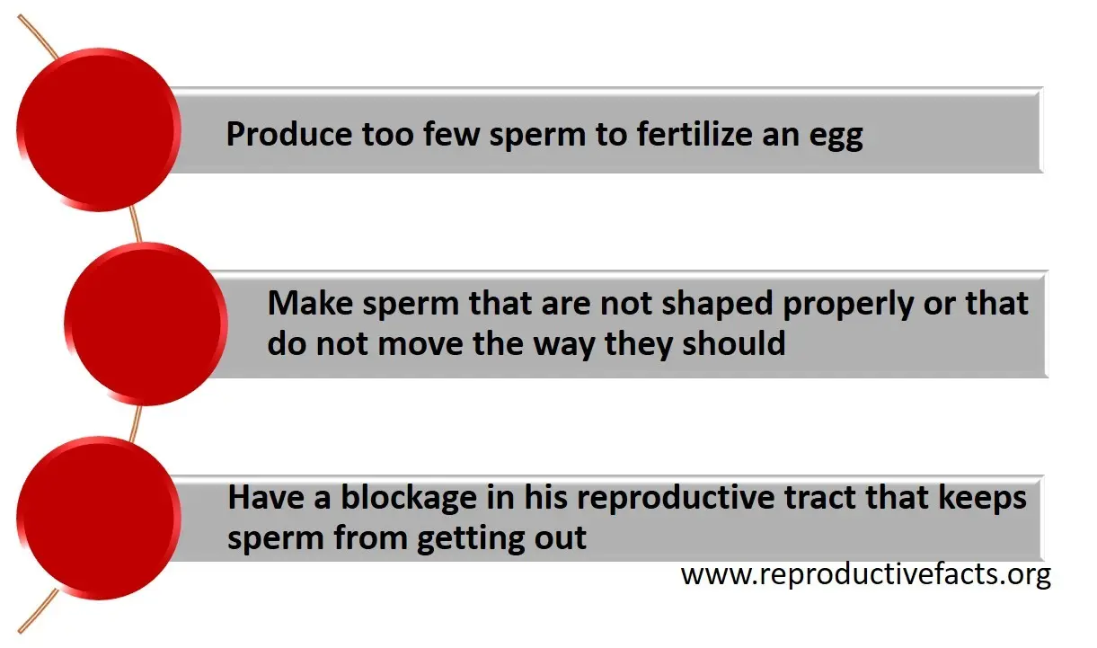 Diagnosis of male infertility &#8211; what tests should be performed?