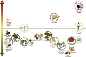 Diet and blood cholesterol concentration