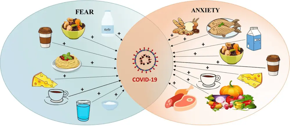 Diet and supplements in times of coronavirus. Position of the Polish Society of Dietetics