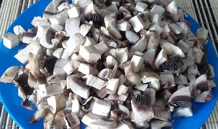 Diet champignons: recipes for first and second courses