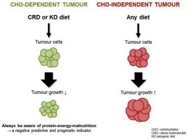 Diet versus cancer &#8211; does it work?