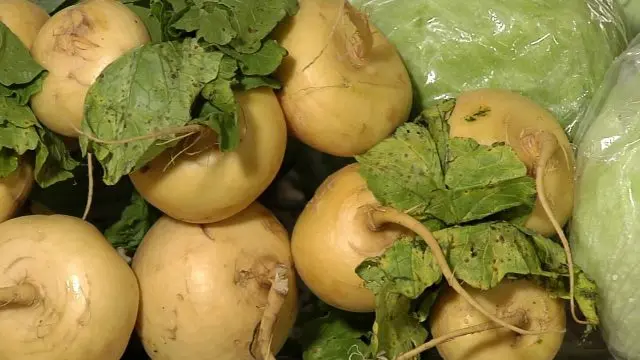 Differences between turnip and swede