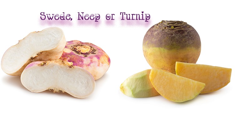 Differences between turnip and swede