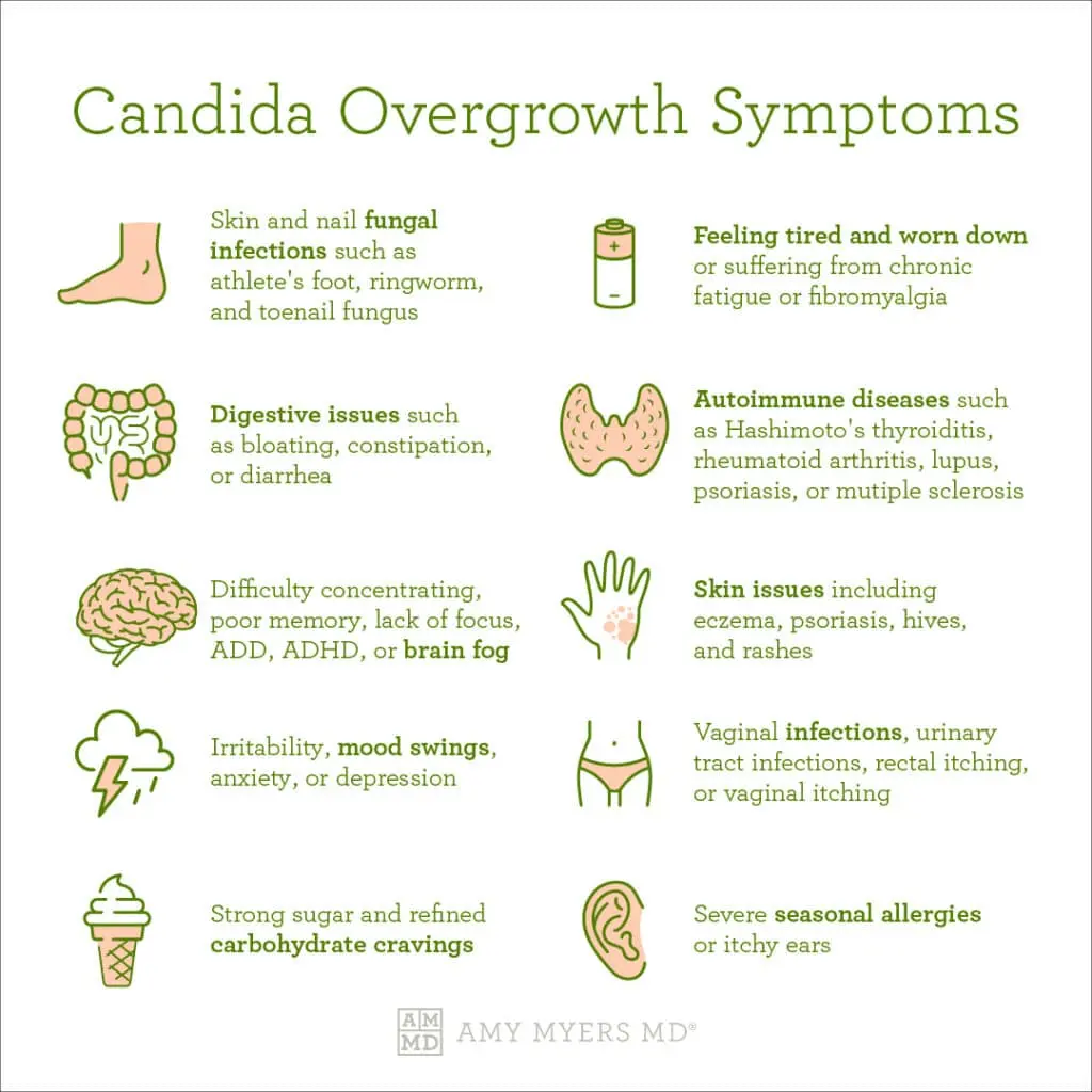 Digestive System Mycosis &#8211; Signs That You Have Candida Fungi In You