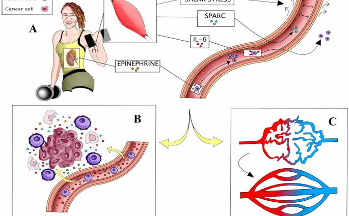 Digestive system neoplasms. How to improve the effects of therapy?