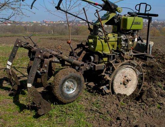 Digging potatoes with a motor cultivator + video 