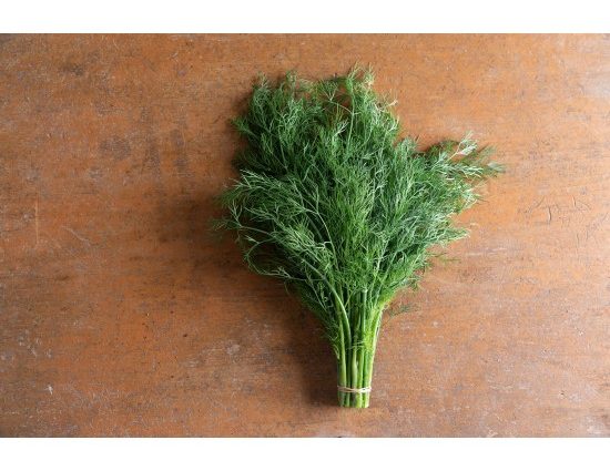 Dill Abundant: reviews, photos, yield