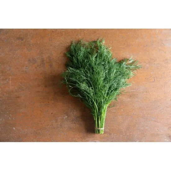 Dill Abundant: reviews, photos, yield