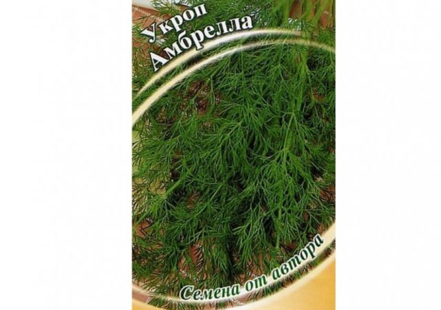 Dill: is it a vegetable or herb, types and varieties (seeds) by maturity