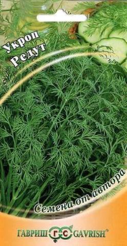 Dill: is it a vegetable or herb, types and varieties (seeds) by maturity