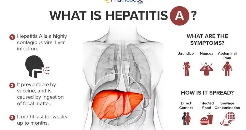 Dirty hands disease is the domain of men. Why are they more likely to get viral hepatitis?