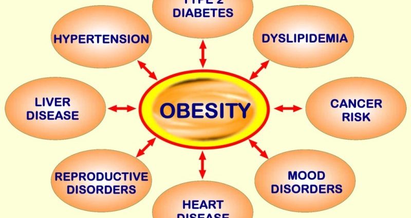 Diseases as a consequence of obesity