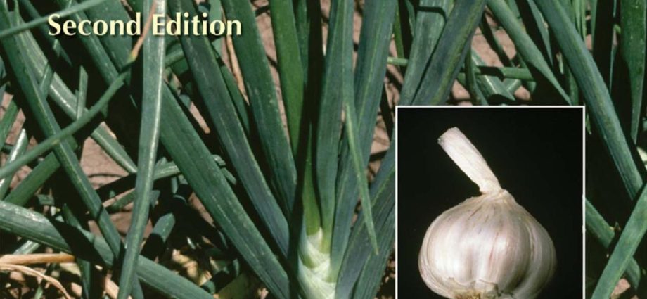 Diseases of garlic and methods of control and prevention