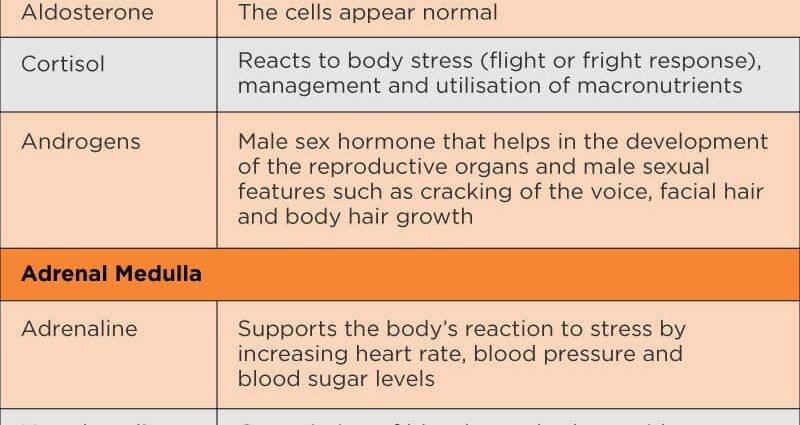 Diseases of the adrenal glands